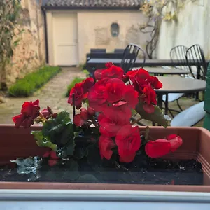 19 Borgo Cavour 3*, Treviso Italia